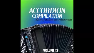 Accordion compilation vol. 12 (Best of italian accordion music)(82 brani fisa)