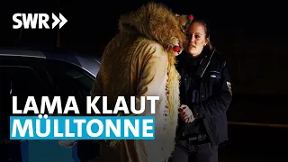 Kostümierter Mann begeht Diebstahl (8) | Nachtstreife - Polizei-Dokuserie