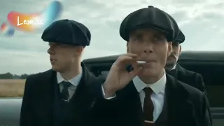 Cvetocek7 - Thomas shelby