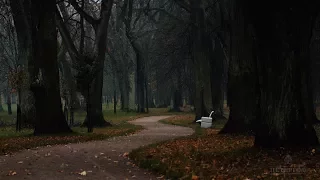 Поздняя осень в Александрии