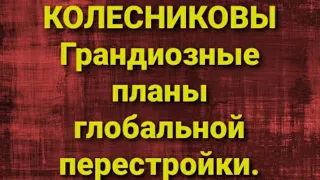 Семья Колесниковых/Новости из Дворца.