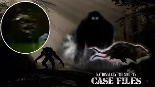 Four Unusual Cryptid Encounters; National Cryptid Society Case Files 66, 67,68 and 69