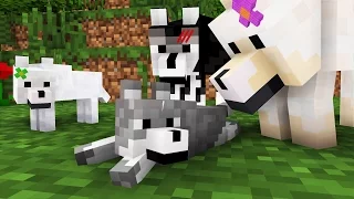 Wolf Life: The Family -- Minecraft Animation