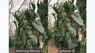 Nothing Phone 1 vs iPhone 13 Camera Comparison