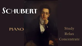 Franz Schubert piano 2 hours - Study | Relax | Sleep | Concentrate | Baby Soothing