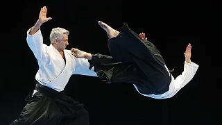 L'Aikido au 30e Festival des Arts Martiaux