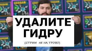 УДАЛИТЕ ГИДРУ! ПОМОГАЮ ЗРИТЕЛЯМ, ТРЕНИРУЮ ГЕРОЕВ, отвечаю на вопросы.