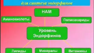 ***Как быстро и правильно бросить курить (В.Тетюк) - 3/4