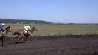 Иваническ06.08.16г. Скакуны ст. Возвраст2400м. 1м Бомбей(Внук Ламанша)