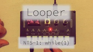 looper experiment: KORG NTS-1 while(1)