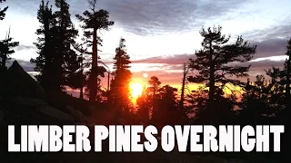 Limber Pines Overnight | San Bernardino Peak - November 19-20, 2016