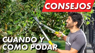 Como y cuando podar nuestros árboles, plantas y arbustos  ✂🌳