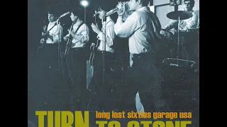 V/A Turn To Stone VOL 1 (Long Lost Sixties Garage USA)