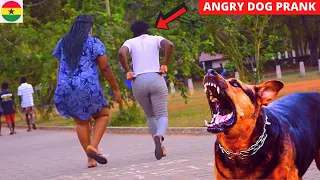 😂😂😂Fake Angry Dog Prank #2. Ladies Run For Dear Life!