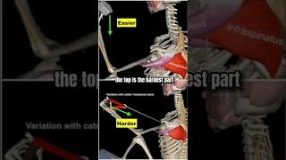 The BEST Rotator Cuff Exercise You’re Not Doing!