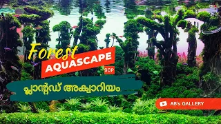 PLANTED AQUARIUM | MALAYALAM | Forest Aquascape - 90P | Hardscape | Cinematic full HD Video (2022)