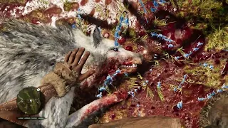 Snowblood Wolf Hunt Mission in far cry primal II Walkthrough Part 35 #farcryprimal #gaming #farcry