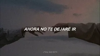 The Drums - Please Don´t Leave (subtitulada al español)