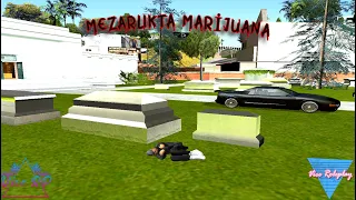 marijuana alıp mezarlıkta içtik [VC:RP]