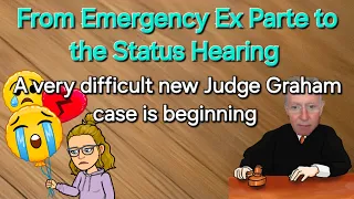 Family Based Case Fails - Emergency removal through status hearing - Judge Graham
