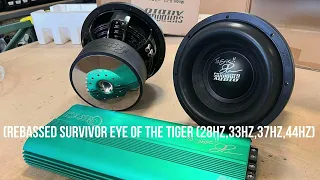 (Rebassed Eye of the Tiger (28Hz,33Hz,37Hz,44Hz)