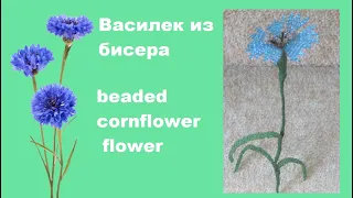 Василек из бисера (beaded cornflower flower)