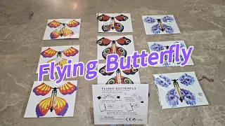 Flying Butterfly