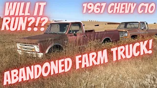 One Owner 1967 Chevrolet C10 Farm Truck! Abandoned for 16 Years! Will It Run?!?