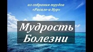 МУДРОСТЬ БОЛЕЗНИ - 25 Лекарств