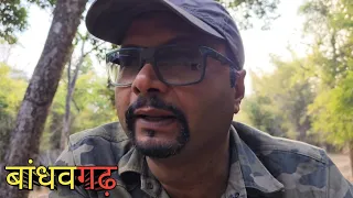 बांधवगढ़ राष्ट्रीय उद्यान । Bandhavgarh National Park Safari । Bandhavgarh Tiger Reserve Jeep Safari