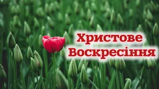 Чудове привітання з Пасхою!🌸Гарне вітання з Великоднем! Автор Катерина Бойко