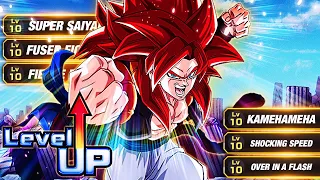 THE UNDISPUTED KING! LEVEL 10 LINKS 100% RAINBOW STAR INT SSJ4 GOGETA! (DBZ: Dokkan Battle)