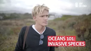 Cody Simpson on Invasive Species