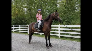 My first horseback riding lesson! :)