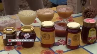 Испанцам понравился приморский мед