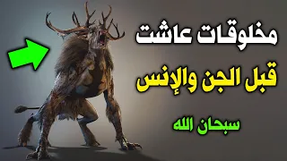 مخلوقات سكنوا الأرض قبل خلق الجن والبشر ؟ فأمر الله الجن والملائكة أن يقتلوهم ؟ قصة تهزالقلوب