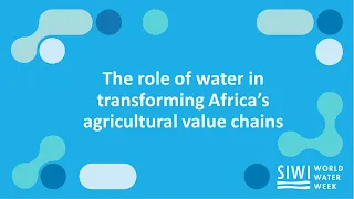 The role of water in transforming Africa’s agricultural value chains