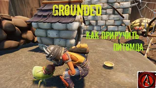 как приручить питомца в grounded от antish