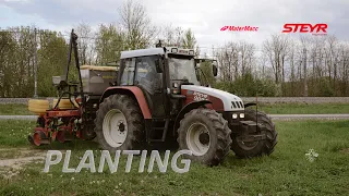 [STEYR 9094 & MATERMACC MS8230] Corn planting/Sadzenie kukurydzy/Aussaat Mais /kmetija VÖRÖŠ-ŠAFARIČ