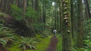 Amanda Trail | Cape Perpetua | Yachats, Oregon