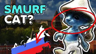 Why Blue Smurf Cat is Everywhere? | SMURF CAT Explain