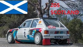 Dirt Rally 2.0 Peugeot 205 T16 Scotland survival