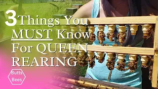 ☯️ 3 THINGS YOU MUST KNOW TO BEGIN QUEEN REARING!!! #beekeeper