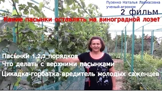 2 часть фильма Какие пасынки надо оставлять на виноградной лозе?