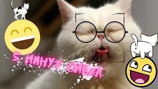 Лучшие Приколы 2021 TIKTOK🤣ЧУДИКИ ИЗ ТИК ТОК🤣Тик Ток Тренды🤣 # 20