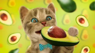 My Favorite Cat Little Kitten Adventure - Learn with a cute virtual cat Cutest Cat Best App