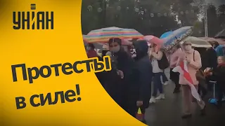 В Беларуси снова прошли акции протестов