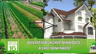 Biến đất nông nghiệp thành đất ở: Ai chịu tránh nhiệm? | VTC16