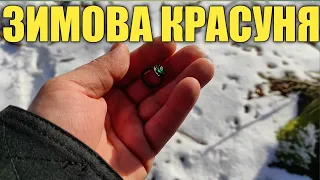 ЗНОВУ СРІБЛО # ДИВОВИЖНІ ПРИГОДИ ТА НАЙДЕНІ ЗНАХІДКИ #