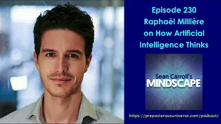 Mindscape 230 | Raphaël Millière on How Artificial Intelligence Thinks